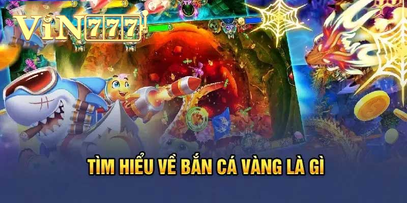 tìm hiểu bắn cá vàng là gì