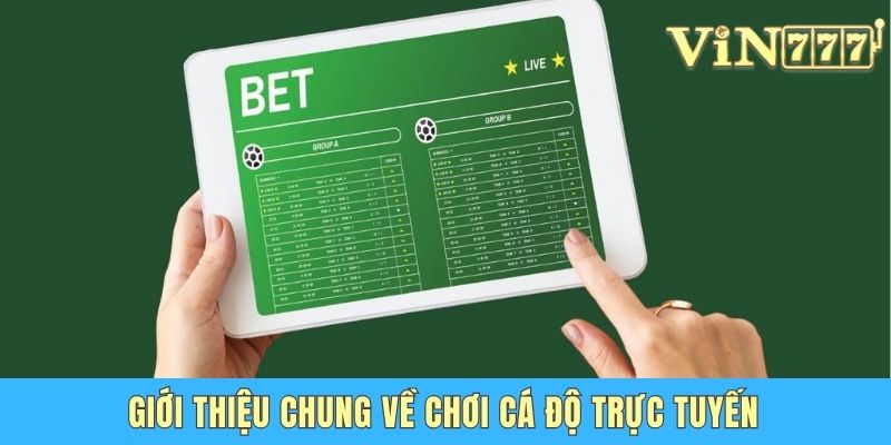 Giới thiệu chung về chơi cá độ trực tuyến